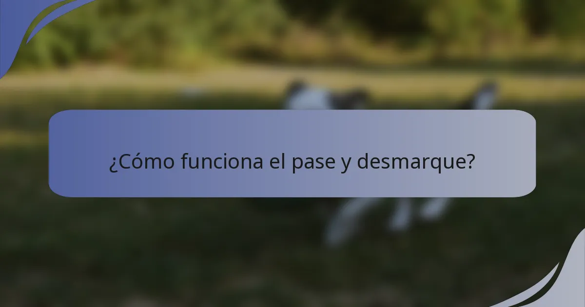¿Cómo funciona el pase y desmarque?